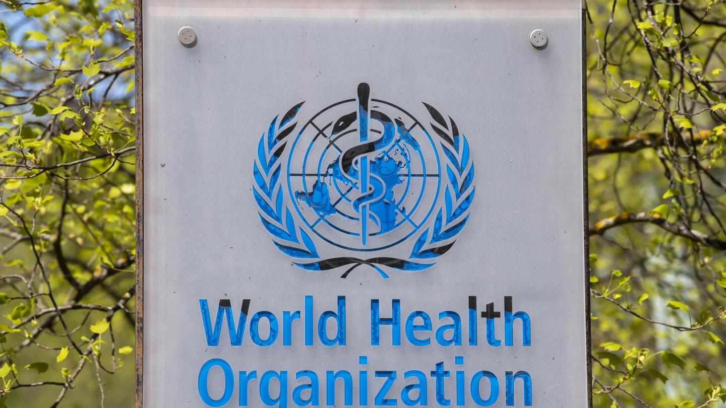 World health sale organization